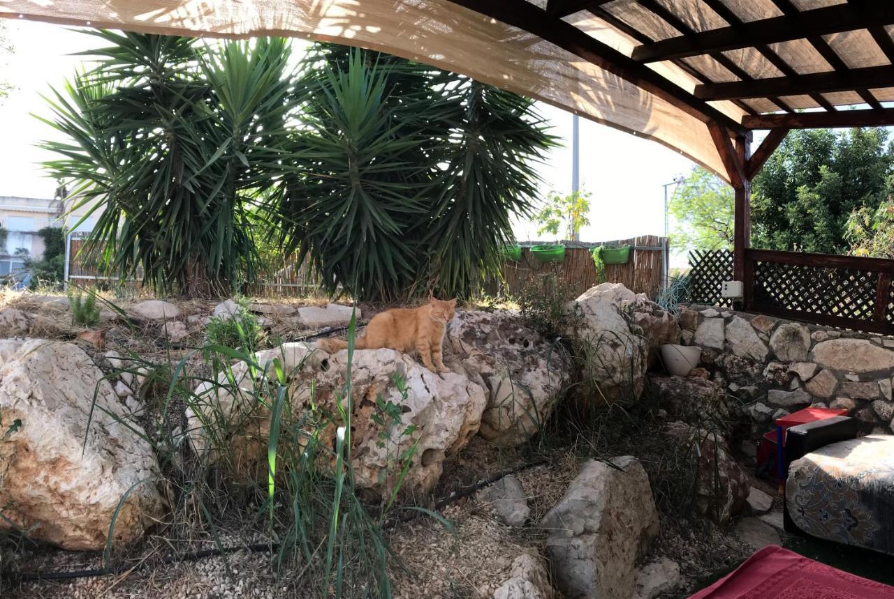 Panorama Kinneret נוף כנרת, צפת Экстерьер фото